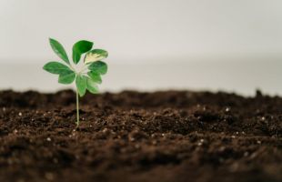 特灵科技发布《2024年可持续发展报告》