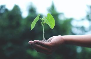 雀巢咖啡发布《雀巢咖啡 2030 年计划进展报告》，2024年再生农业采购占比超目标达32%