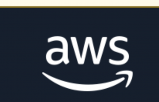 亚马逊云科技推出Amazon Nova Act SDK有限预览版