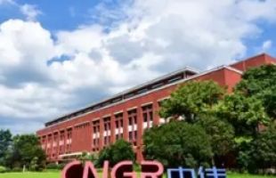 中伟新材料（02579.HK）pCAM 产品销售价值全球第一，多元布局驱动海外收入占比超五成