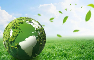 汤锋：锚定绿电黄金赛道，坚定长期价值信仰