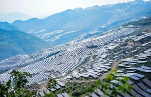 2025“AI中国”生态图谱发布