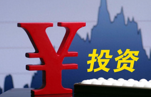 国家发展改革委召开全国投资工作推进会议  