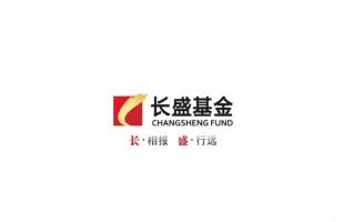长盛成长龙头混合基金清盘 成立以来亏损逾4成 
