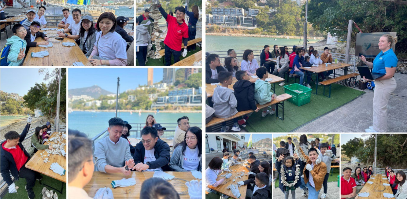 1768880103503066.png 05.png